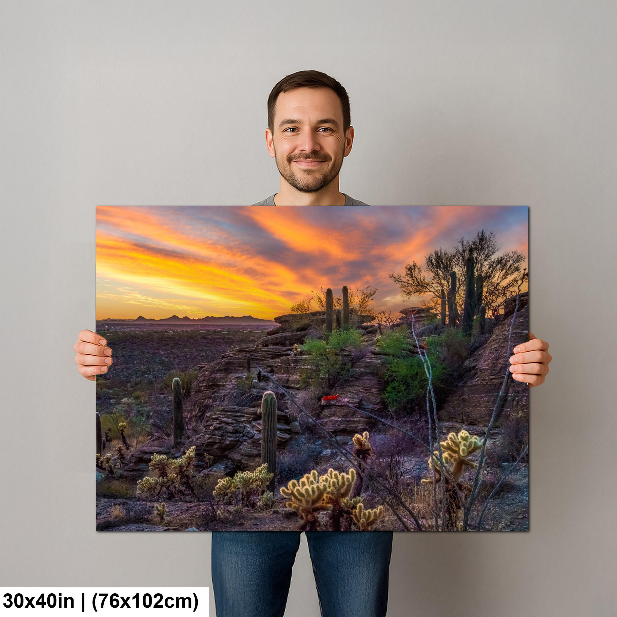 Sonoran Desert Sunset Overlook with Saguaros and Cholla Tucson Arizona Photography Print