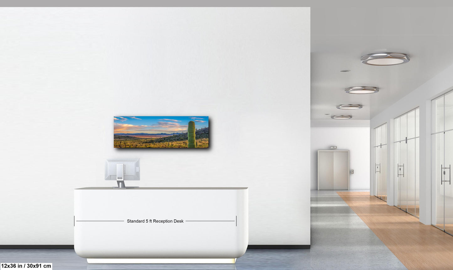 Desert Valley View with Saguaros, Casa Grande Arizona, Photography Wall Art