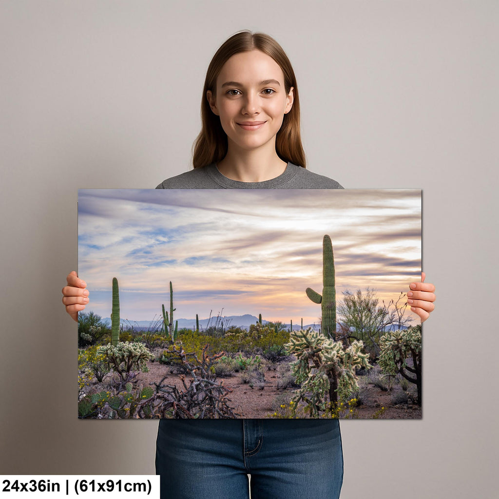 Pastel Desert Sunset with Saguaros and Cholla Tucson Arizona Photography Print