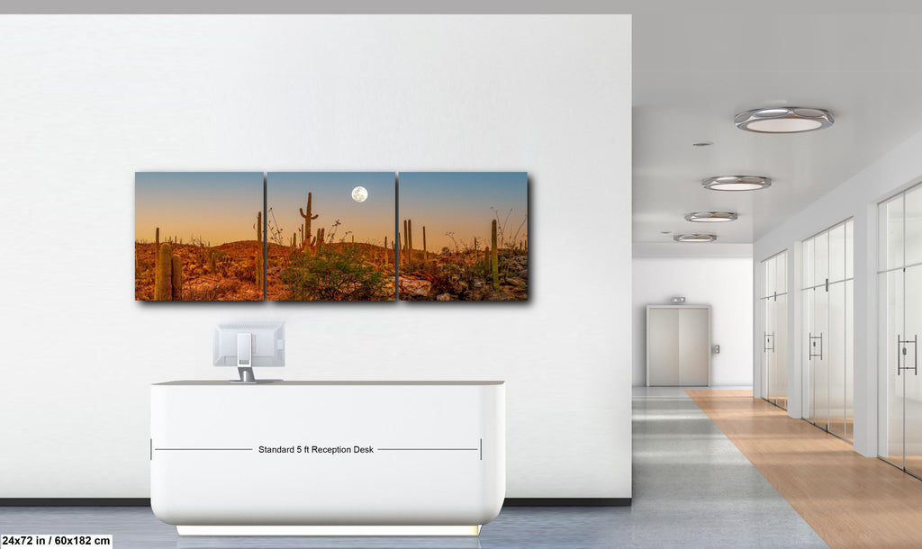 Full Moon Over Saguaro National Park East Photography Print, Tucson Arizona Desert Landscape, Southwest Wall Art