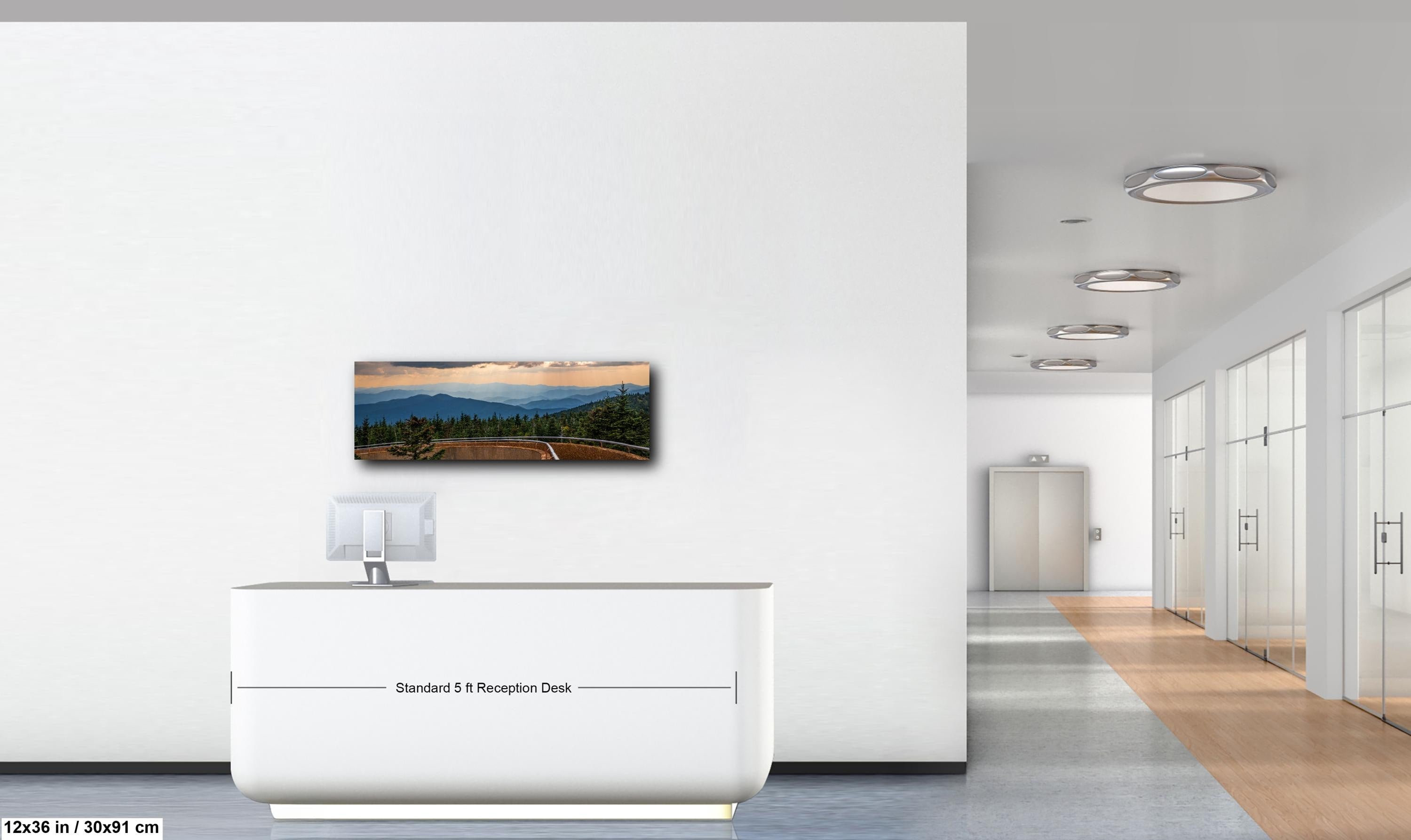 Storm's Light: Clingmans Dome Great Smoky Mountains Tennesse Photo Wall Art