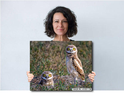 Burrowing Owls Pair Badlands National Park South Dakota Wildlife Photography Print Wall Art, Nature Bird Photo