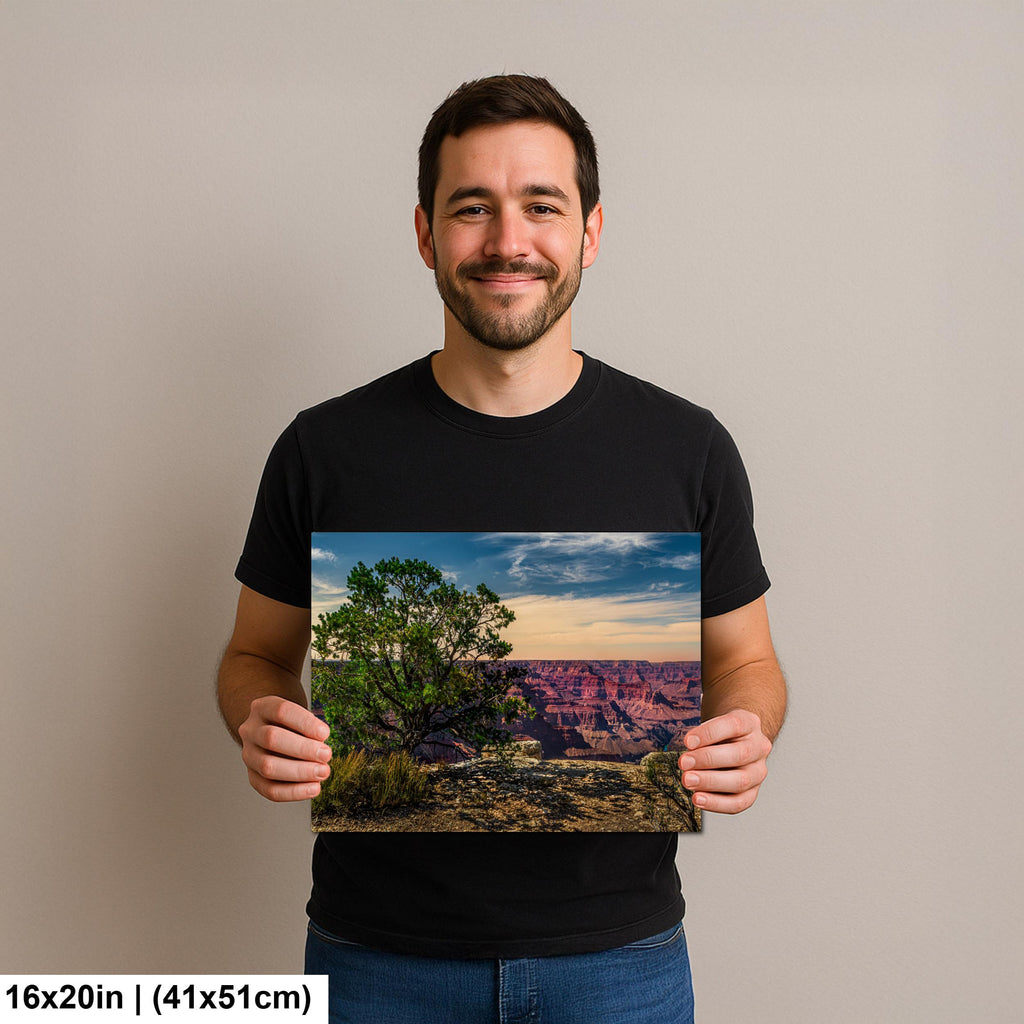 Juniper Tree Overlooking Grand Canyon, South Rim Arizona Wall Art, Canyon Landscape Photography Print