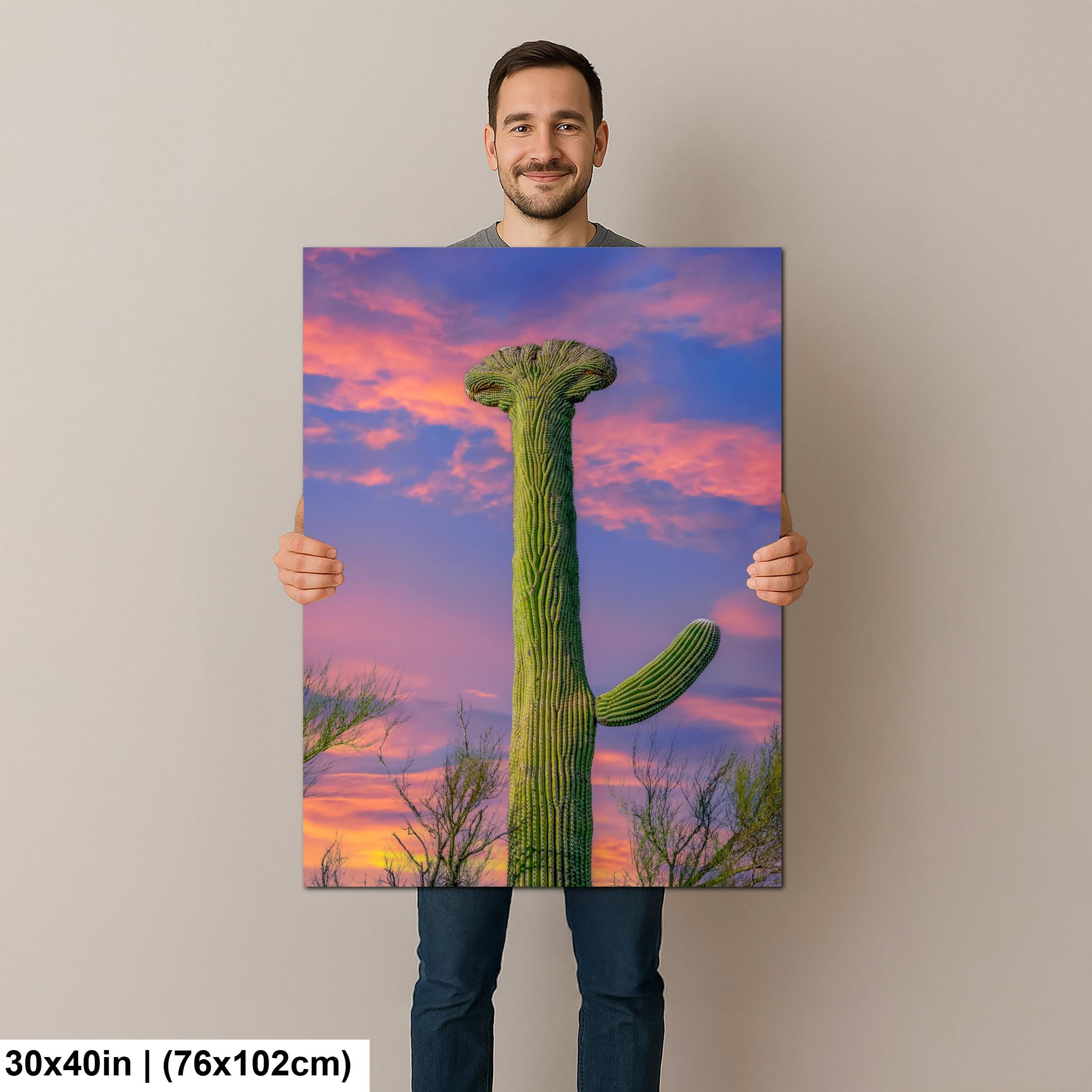 Crested Saguaro Cactus at Sunset - Saguaro National Park East Tucson Photography Print