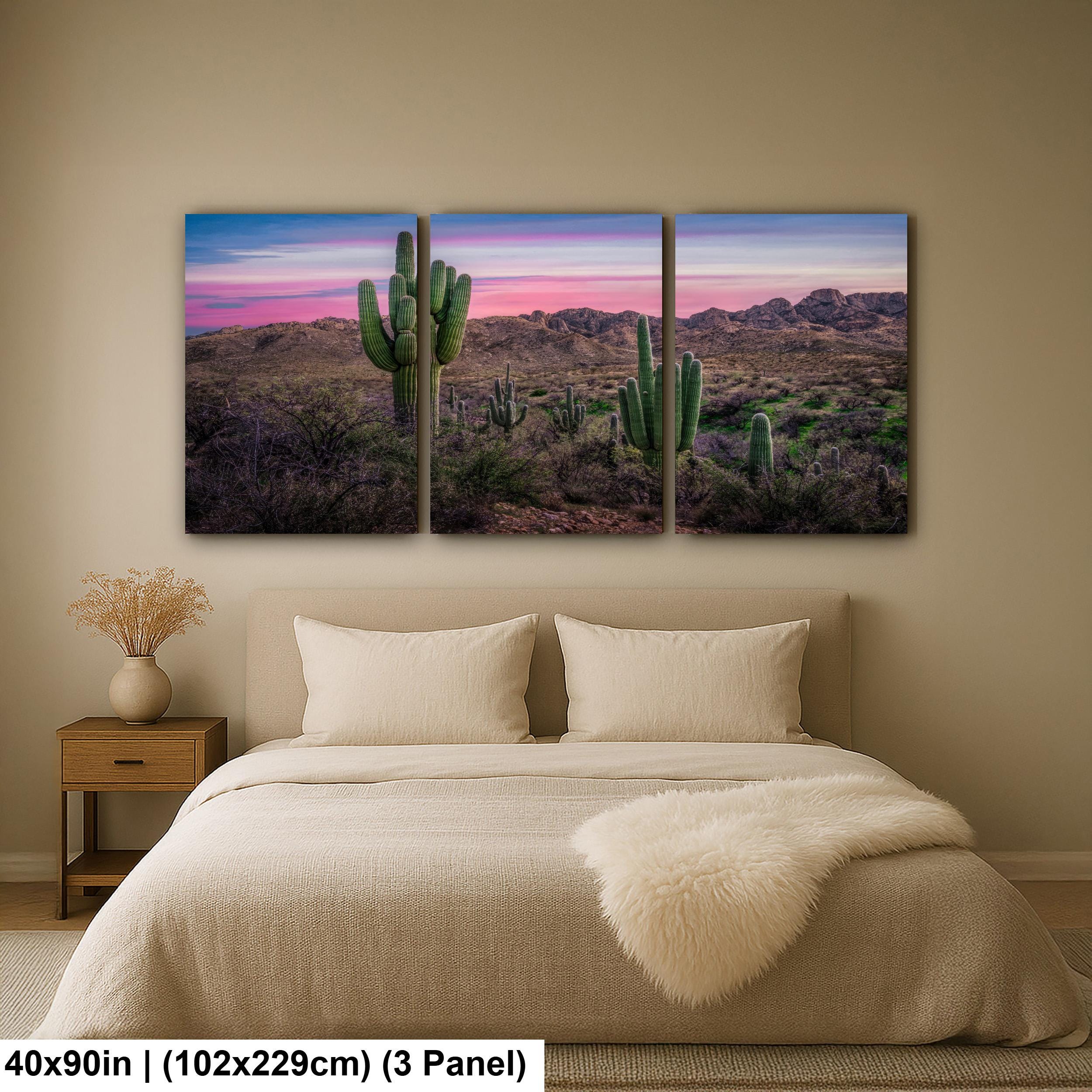 Sonoran Desert Sunset with Saguaros - Catalina State Park Tucson Arizona Photography Print
