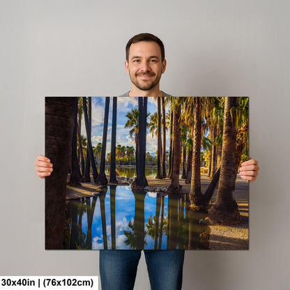 Agua Caliente Park Palm Tree Oasis Reflections - Tucson Arizona Photography Print