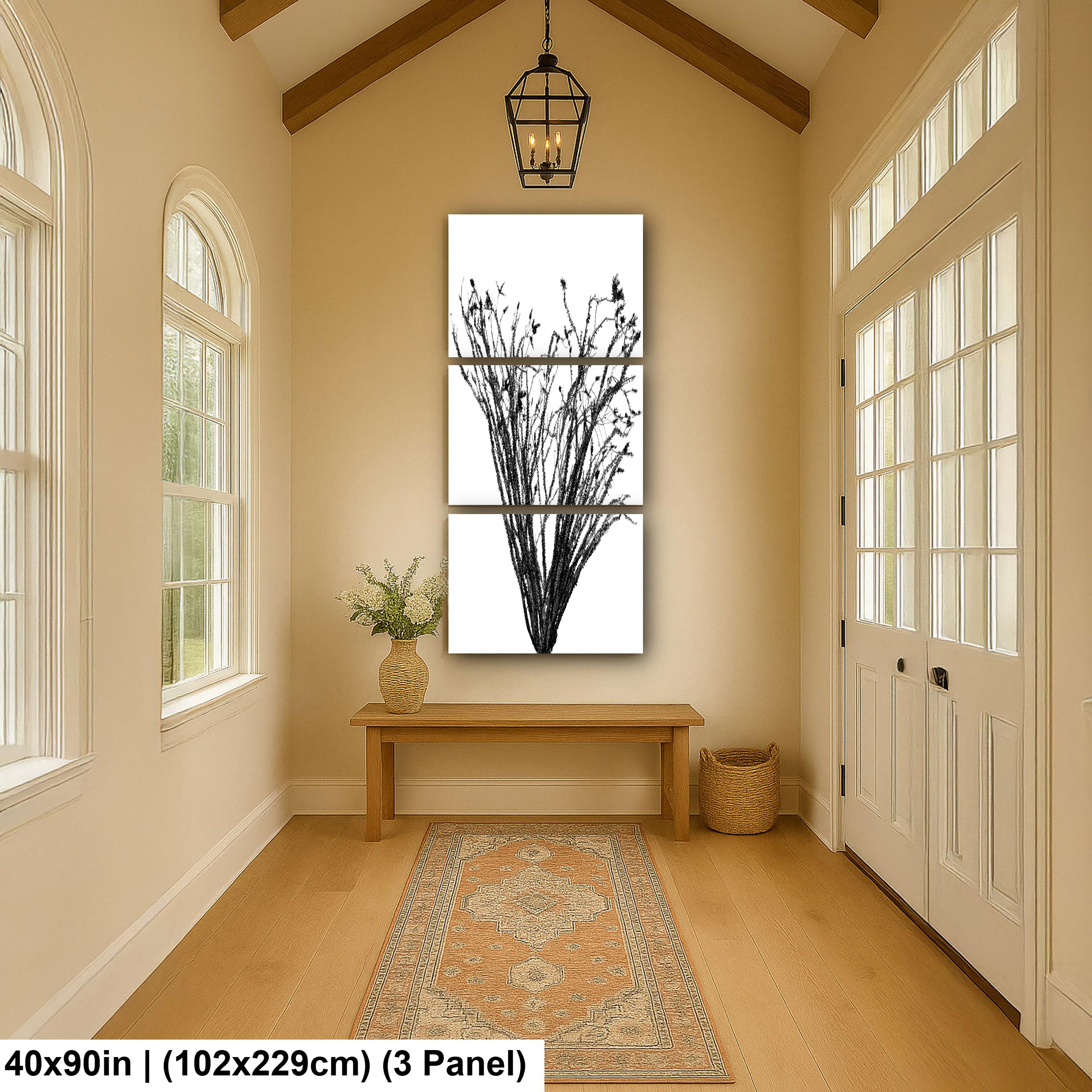 Ocotillo Cactus Silhouette Print: Black and White Desert Photography
