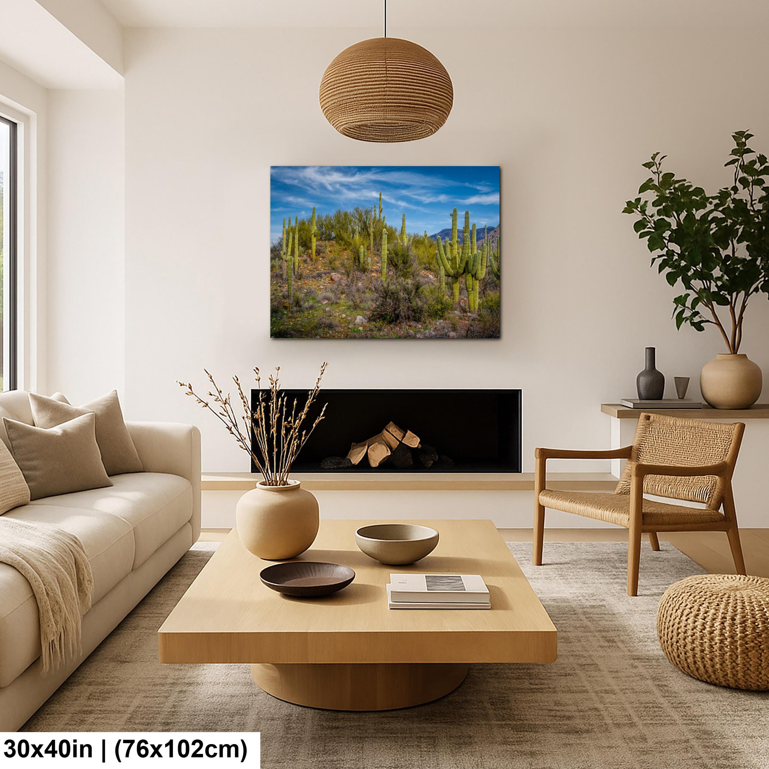 Sonoran Desert Hillside with Saguaros - Catalina State Park Tucson Arizona Photography Print