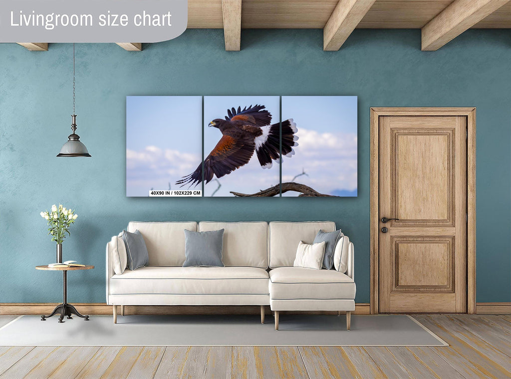 Harris's Hawk Desert Flight Photography: Southwest Wildlife Art Print