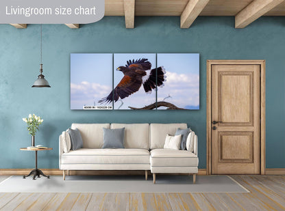 Harris's Hawk Desert Flight Photography: Southwest Wildlife Art Print