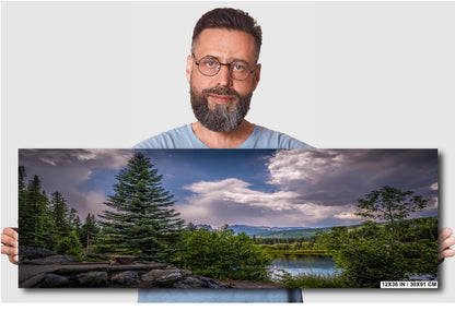 Cloud-Kissed Pines in Rocky Mountain National Park, Colorado Print Wall Art Photography Aluminum/Acrylic/Metal/Canvas Southwestern Decor