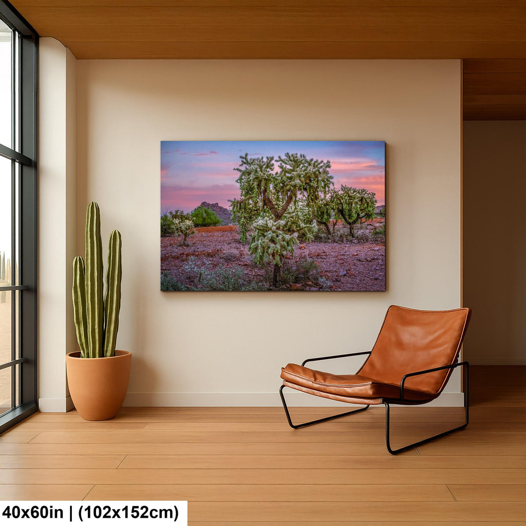 Cholla Cactus Sunset, Lost Dutchman State Park, Apache Junction Arizona Photography Wall Art