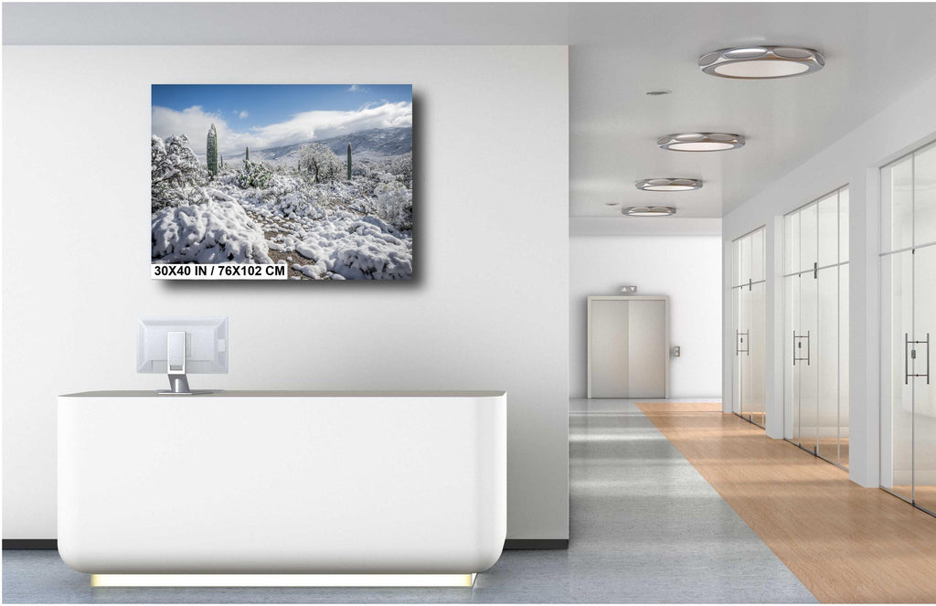 Saguaro National Park Winter Snow Print: Arizona Desert Wall Art