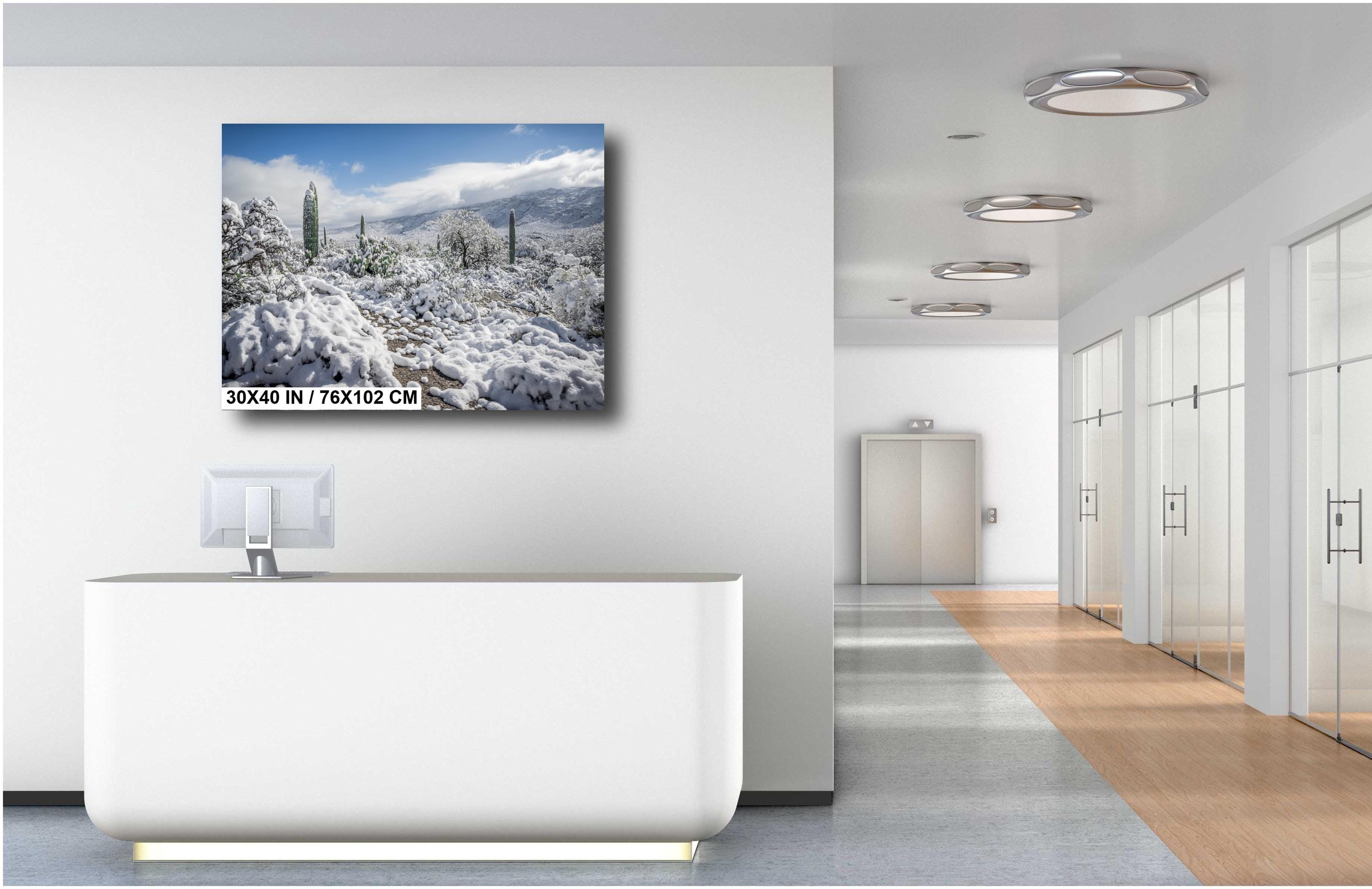 Saguaro National Park Winter Snow Print: Arizona Desert Wall Art