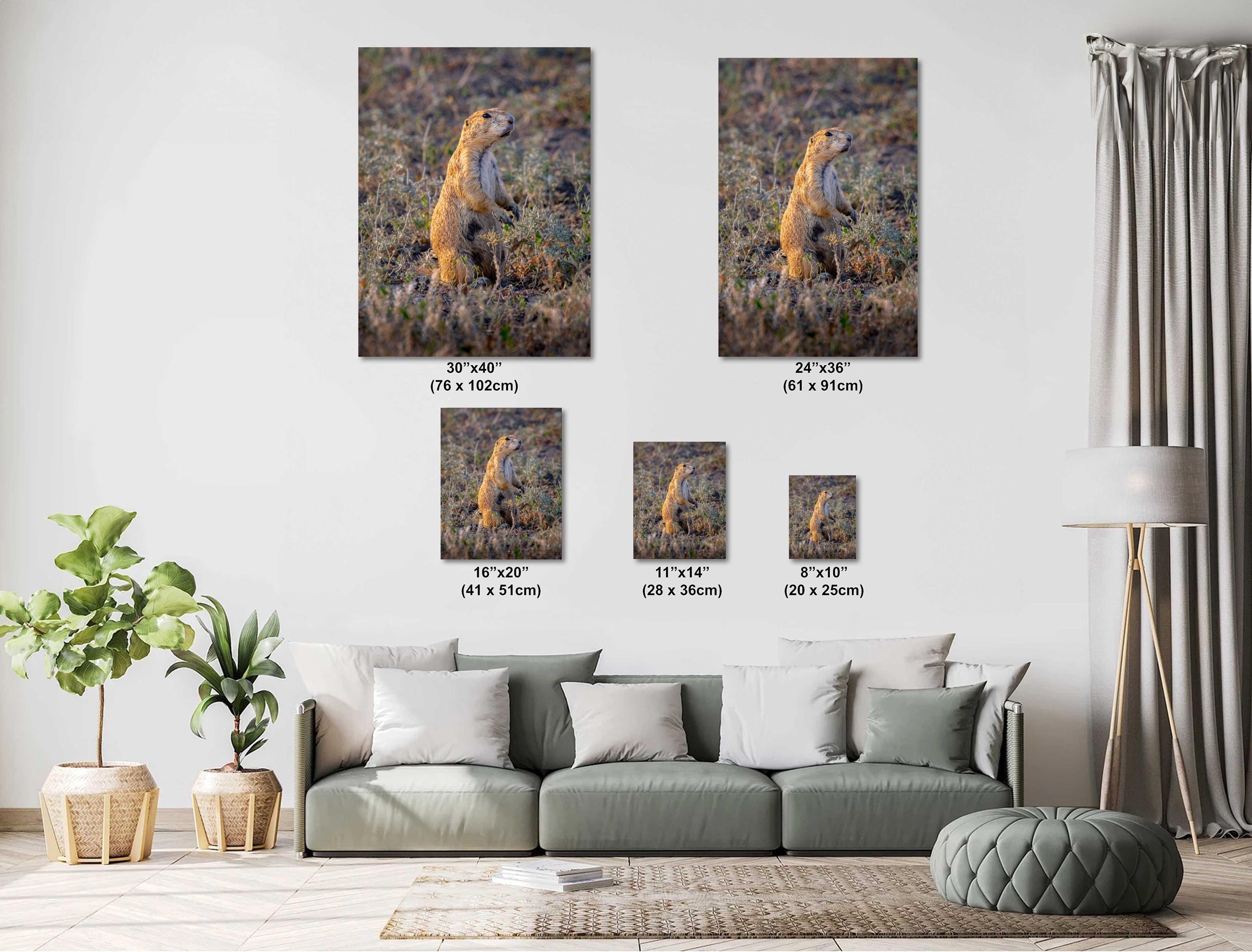 Prairie Dog On Alert Badlands Wildlife Photography Print Canvas Aluminum Metal Acrylic Fine Art Wall Art for Nature and Wildlife