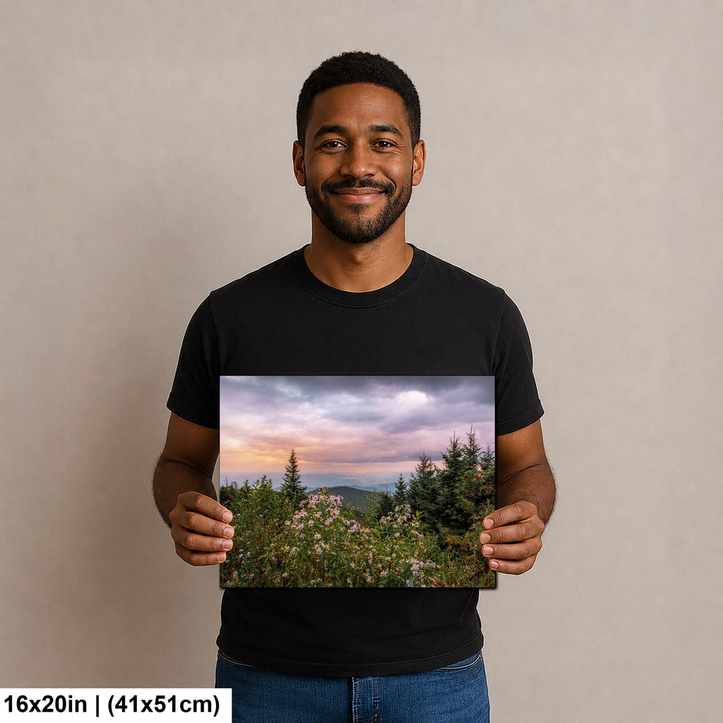 Mountain Wildflowers: Great Smoky Mountains Tennessee Photography Wall Art