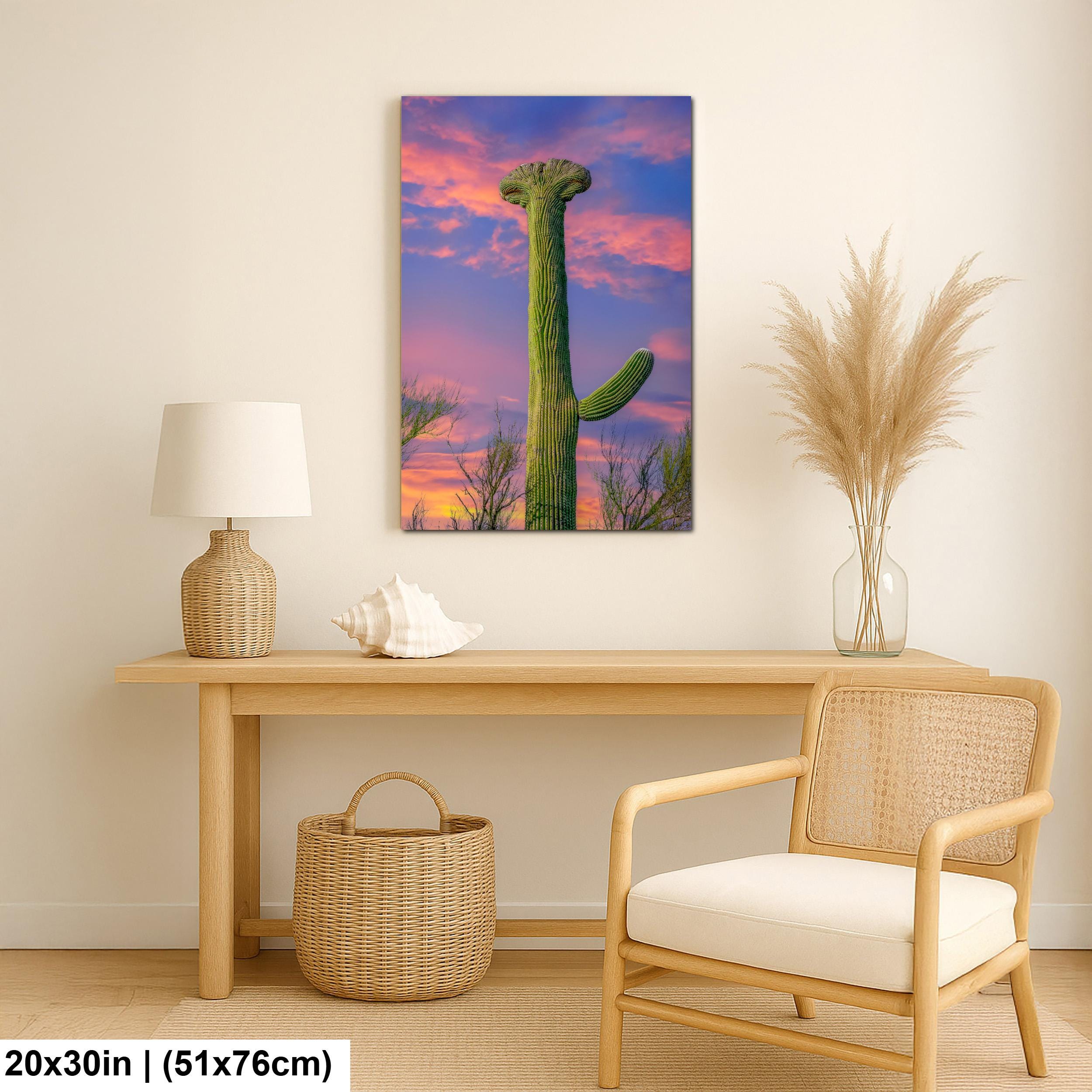 Crested Saguaro Cactus at Sunset - Saguaro National Park East Tucson Photography Print