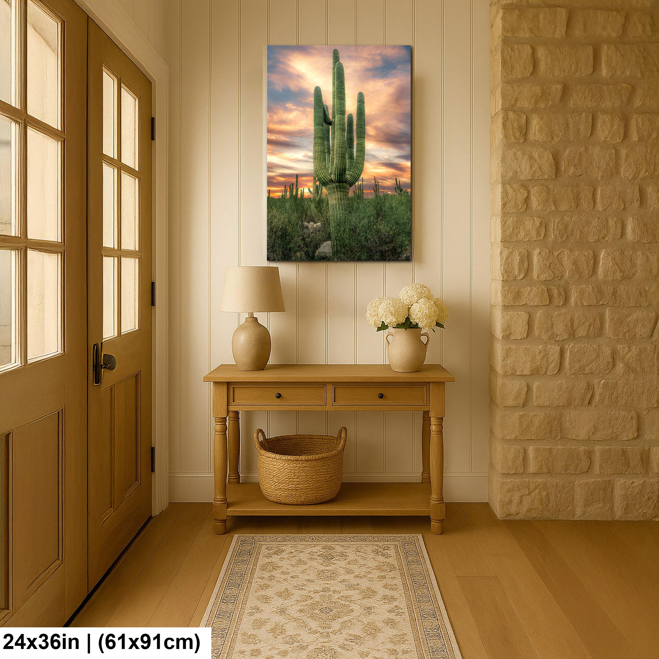 Towering Multi-Arm Saguaro at Sunset - Catalina State Park Tucson Arizona Sonoran Desert Photography Print