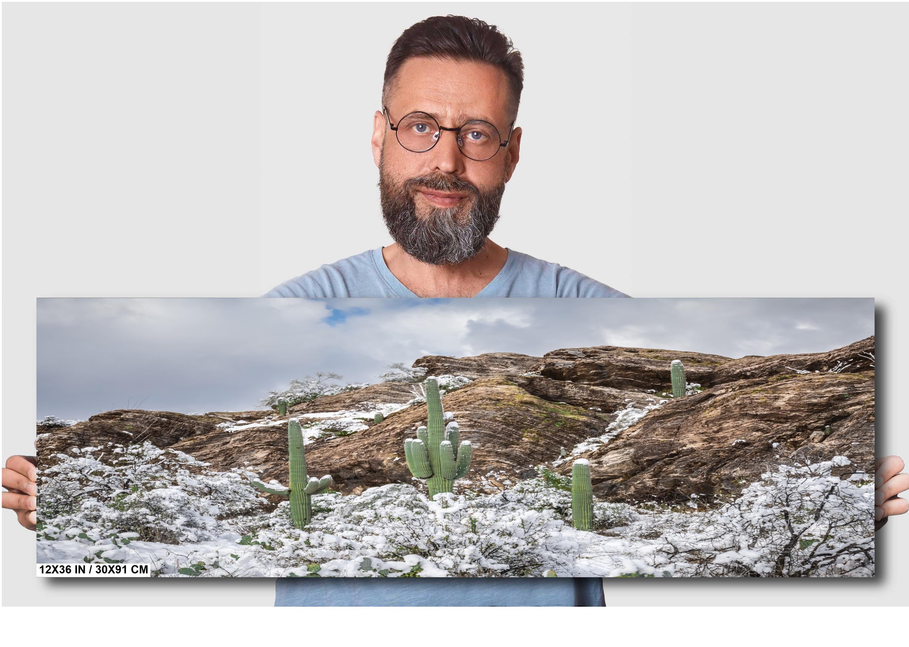 Saguaro National Park Winter Print: Tucson Arizona Desert Snow Scene
