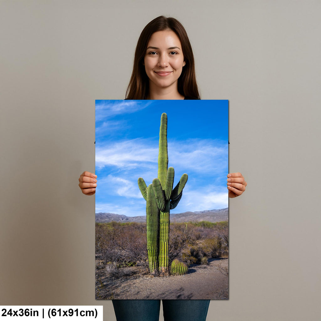 Towering Saguaro Against Blue Desert Sky Tucson Arizona Photography Print