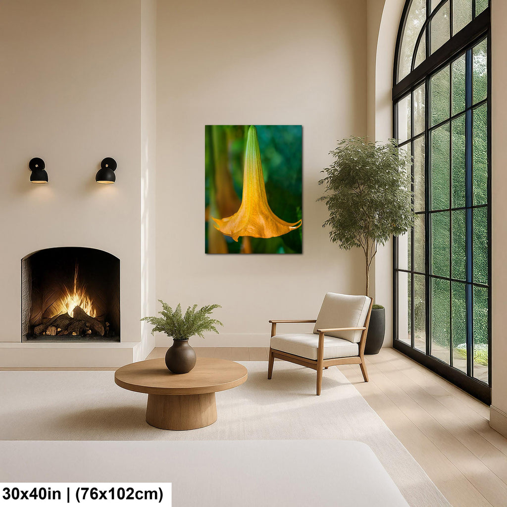 Golden Bell: Angel's Trumpet Flower Botanical Floral Photography Wall Art