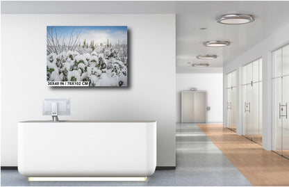 Saguaro Cactus Wall Art – Snowy Desert Print | Tucson Arizona Winter Decor