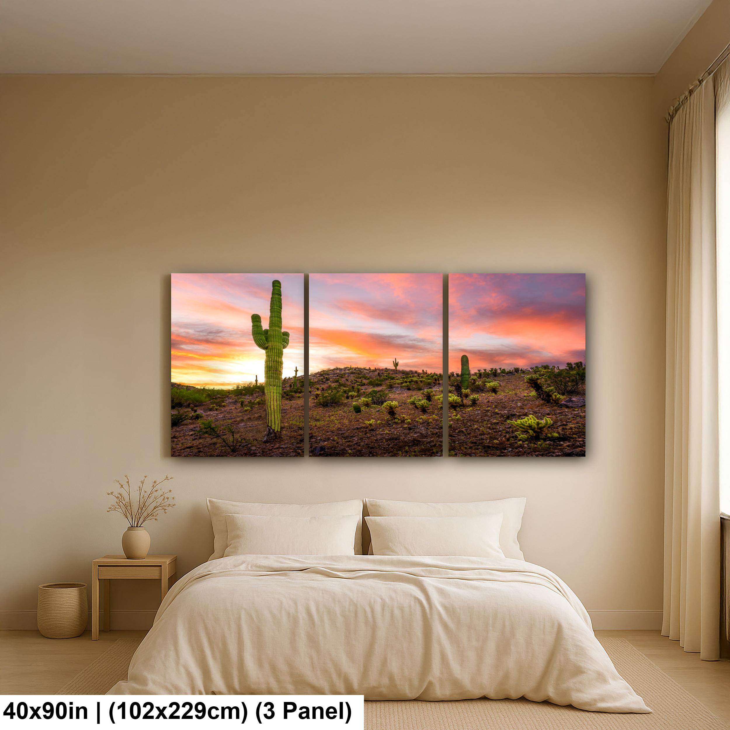 Towering Saguaro at Sunset - Sonoran Desert Casa Grande Arizona Photography Print