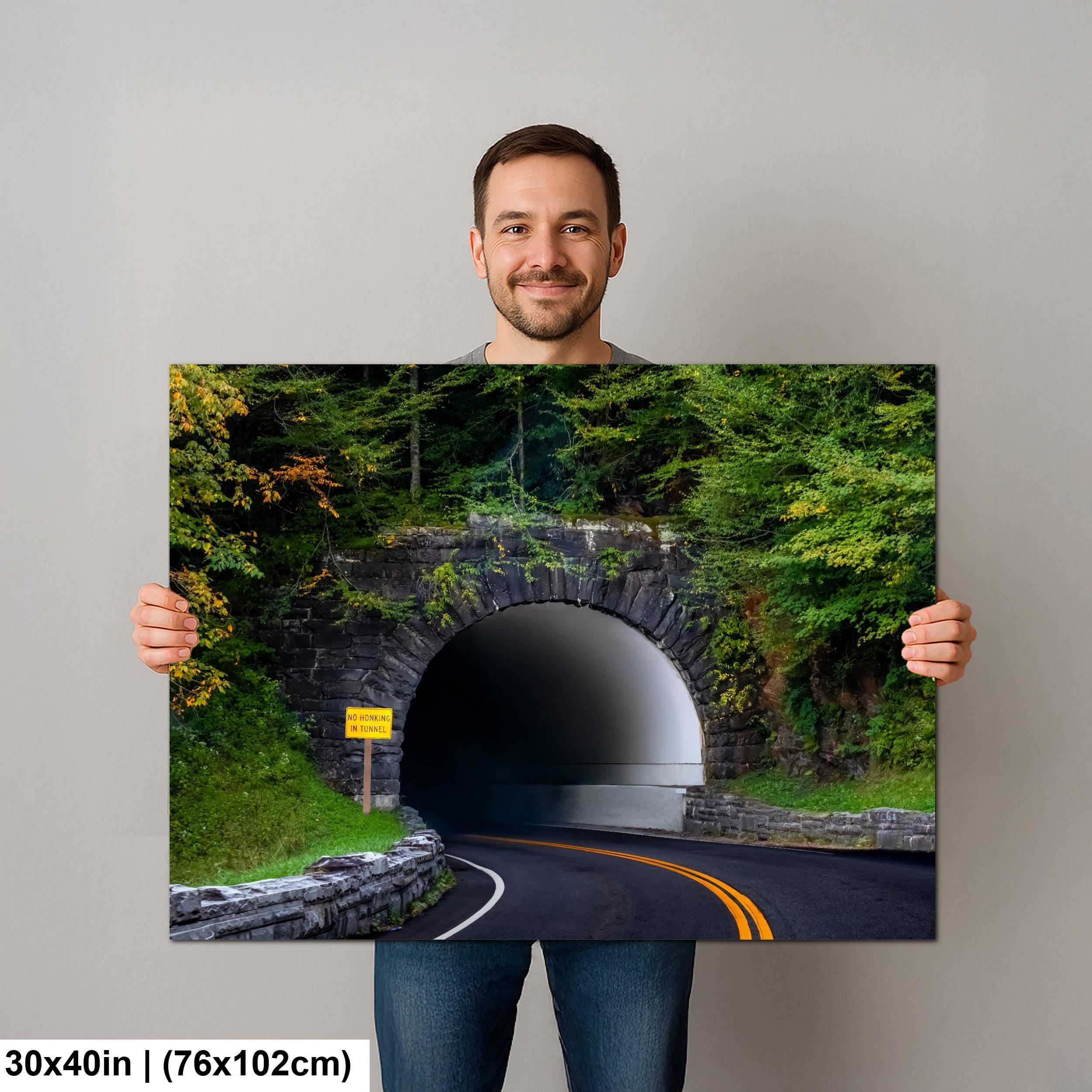 No Honking in Tunnel: Great Smoky Mountains National Park TN Photo Wall Art