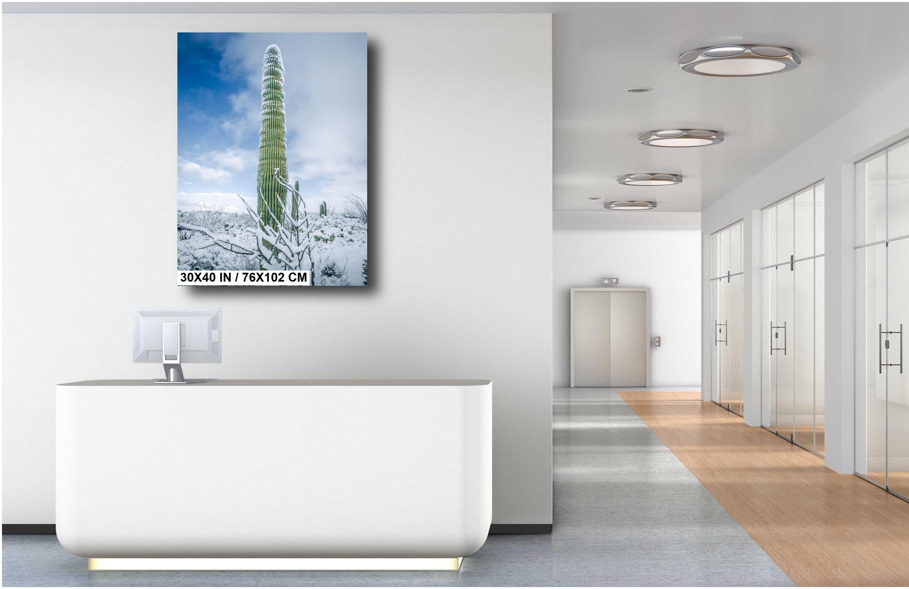 Black and White Saguaro Cactus Arizona Desert Photography Wall Art