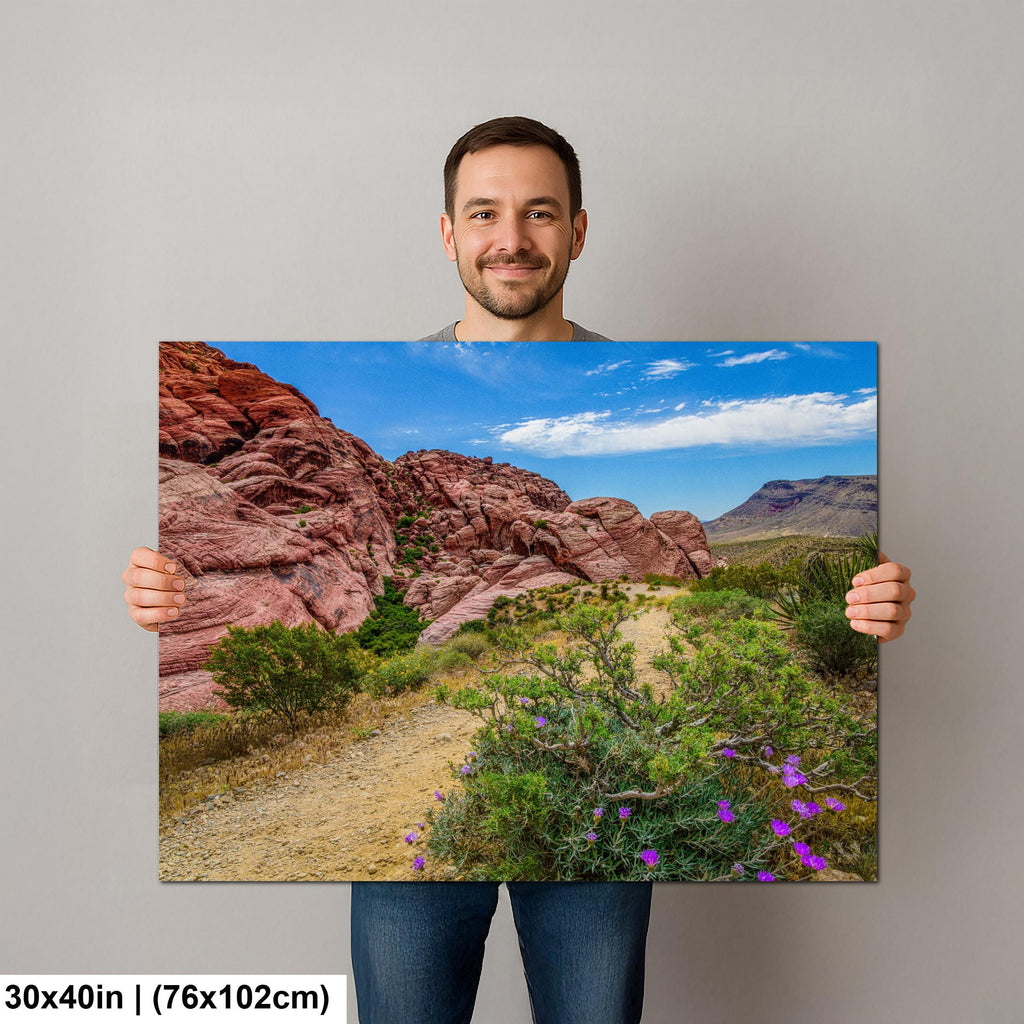 Wildflower Trail: Red Rock Canyon Las Vegas Nevada Photography Wall Art