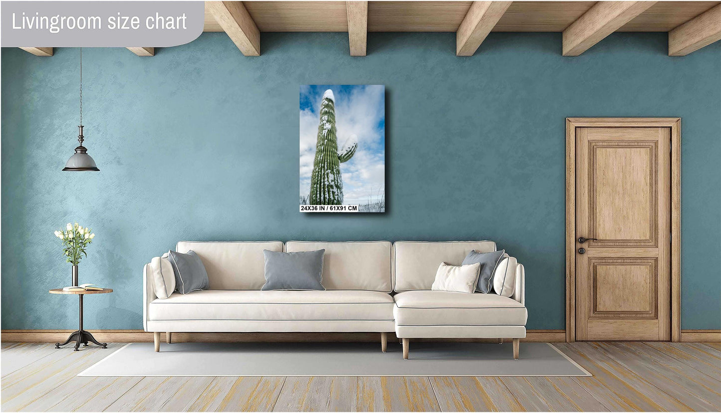 Snowy Saguaro Cactus Print: Arizona Winter Desert Photography