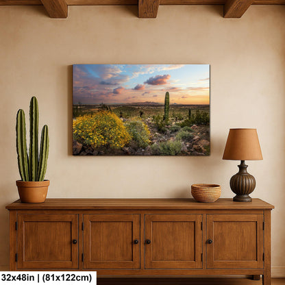 Arizona Sunset Overlook with Saguaros and Wildflowers - Casa Grande Sonoran Desert Photography Print
