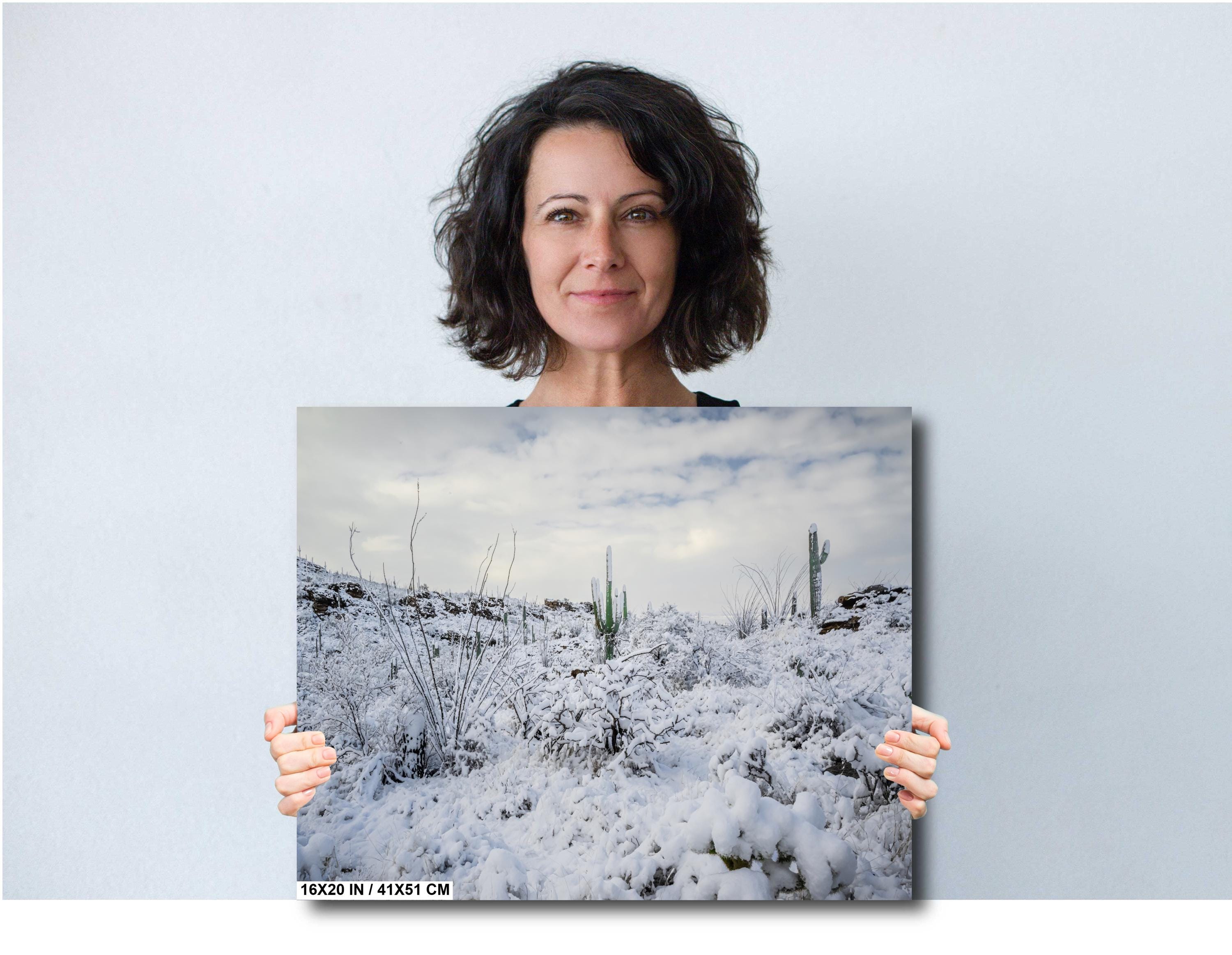 Saguaro National Park Winter Snow Print: Tucson Desert Photography