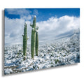 A canvas print featuring snow-covered saguaro cacti in a desert landscape with a blue sky in the background.
