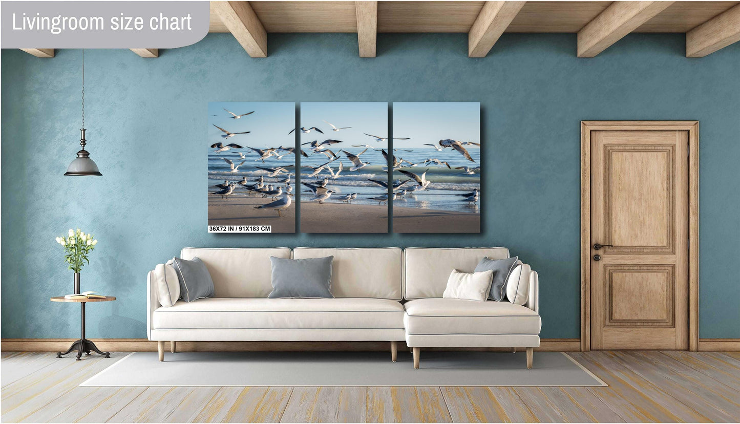 Seagulls of Anna Maria Island Beach, Florida Print Wall Art Bird Wildlife Photography Aluminum/Acrylic/Metal/Canvas Coastal Seascape Decor