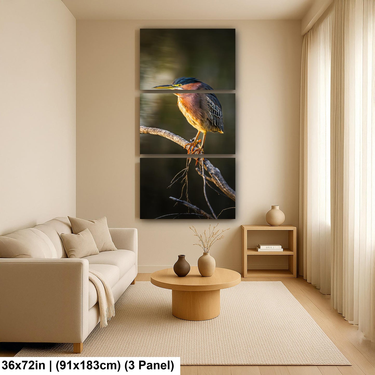 Green Heron Photography Print, Agua Caliente Park Tucson Arizona, Bird Wall Art, Nature Home Decor, Wildlife Gift
