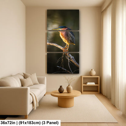 Green Heron Photography Print, Agua Caliente Park Tucson Arizona, Bird Wall Art, Nature Home Decor, Wildlife Gift