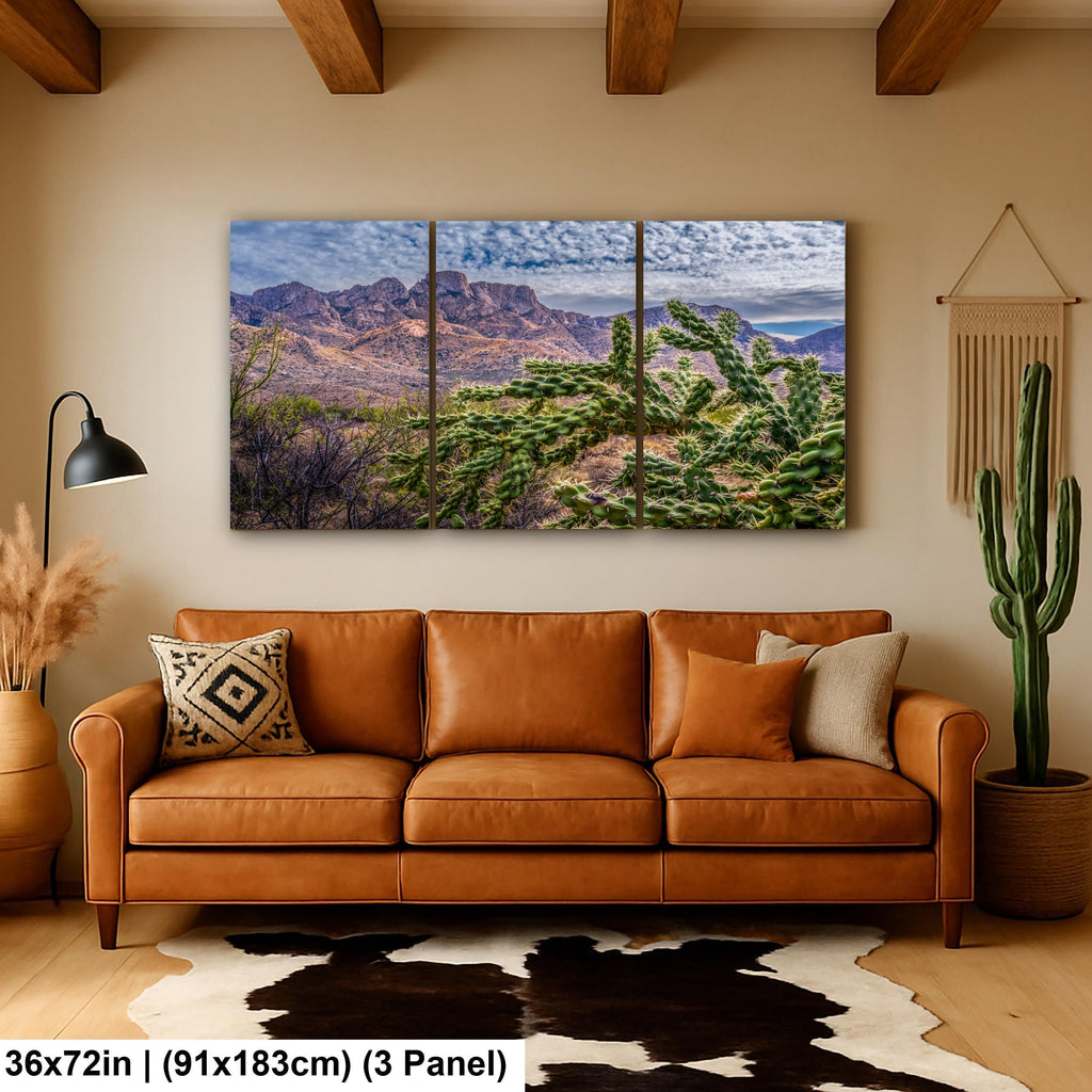 Cholla Cactus Arizona Desert Landscape Photography Wall Art
