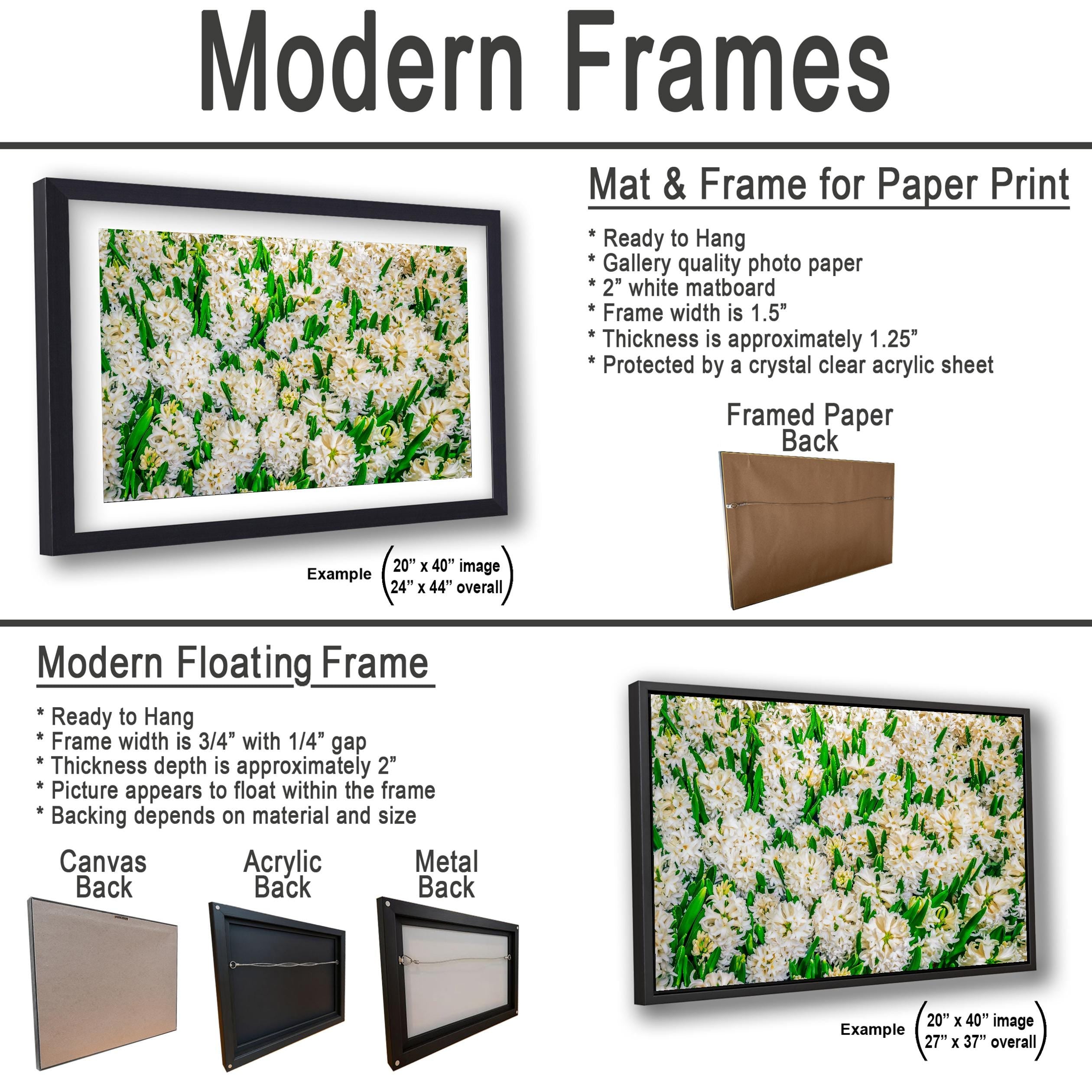 Spring Whites: White Hyacinth Flowers Botanical Photography Wall Art