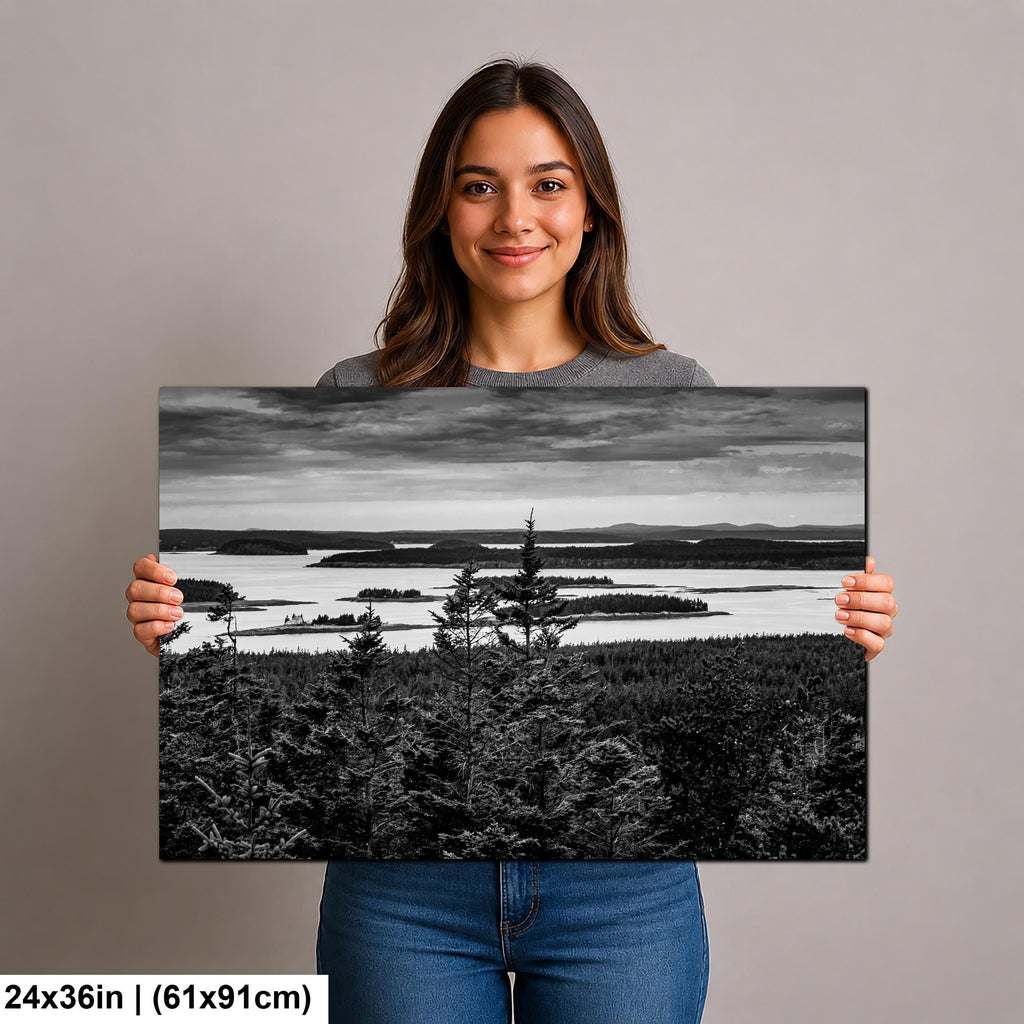 Beyond the Pines: Acadia National Park Maine Islands Black White Wall Art