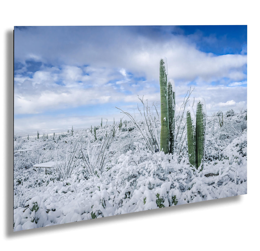 Saguaro National Park Winter Print: Arizona Desert Snow Photography