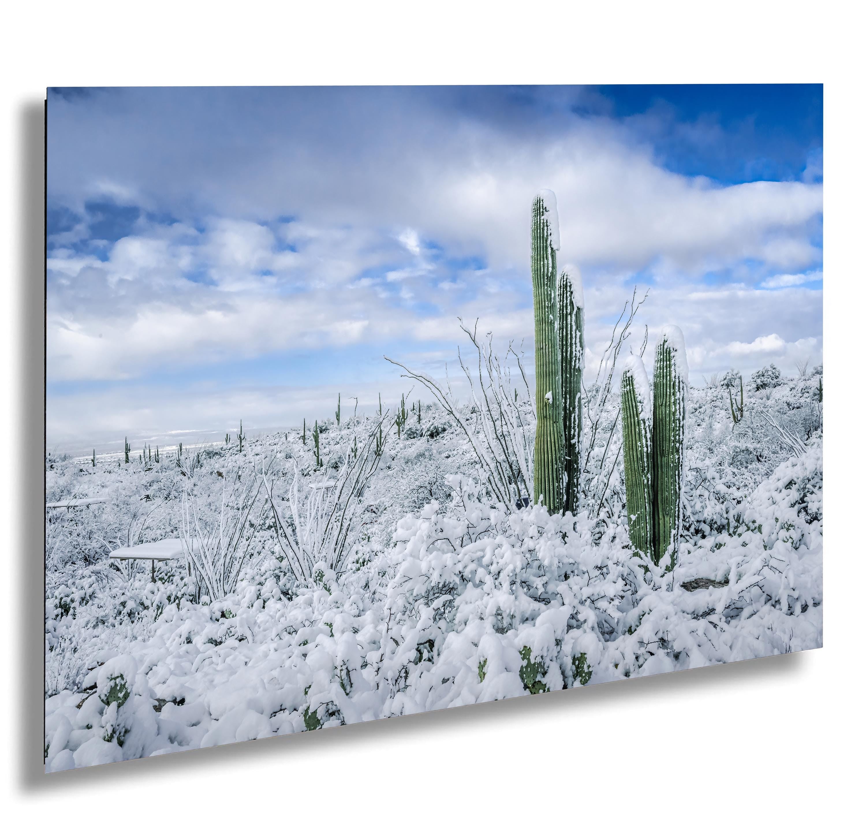 Saguaro National Park Winter Print: Arizona Desert Snow Photography