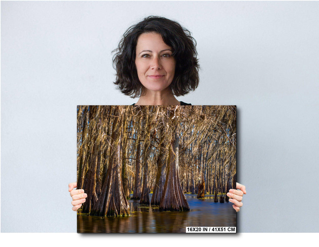 Woman holding a large photo print of Lake Martin Louisiana Cypress Swamp Trees