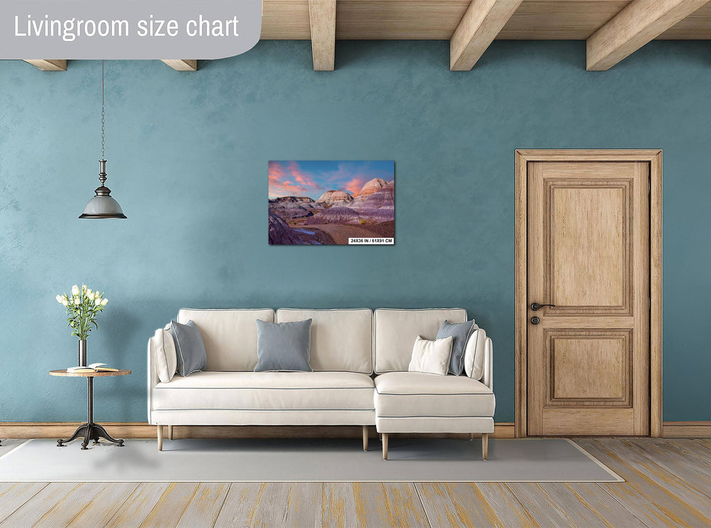 Nature's Ancient Relics: Petrified Forest National Park Arizona Wall Art Photography