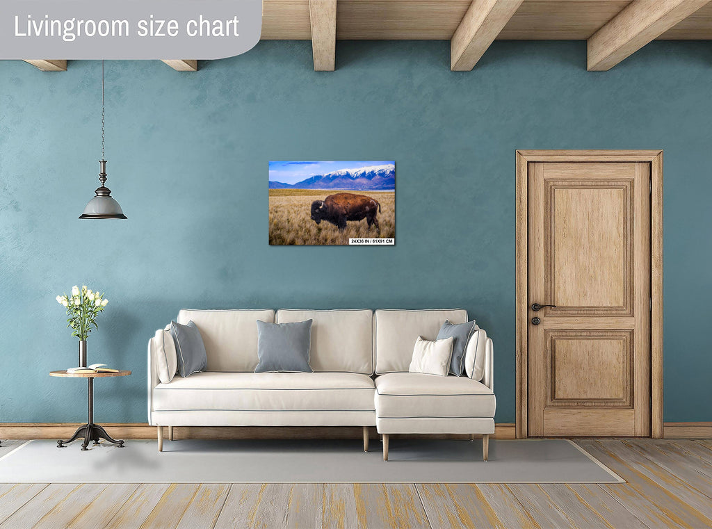 Bison Canvas Art Print: Antelope Island, Utah Wildlife Photography