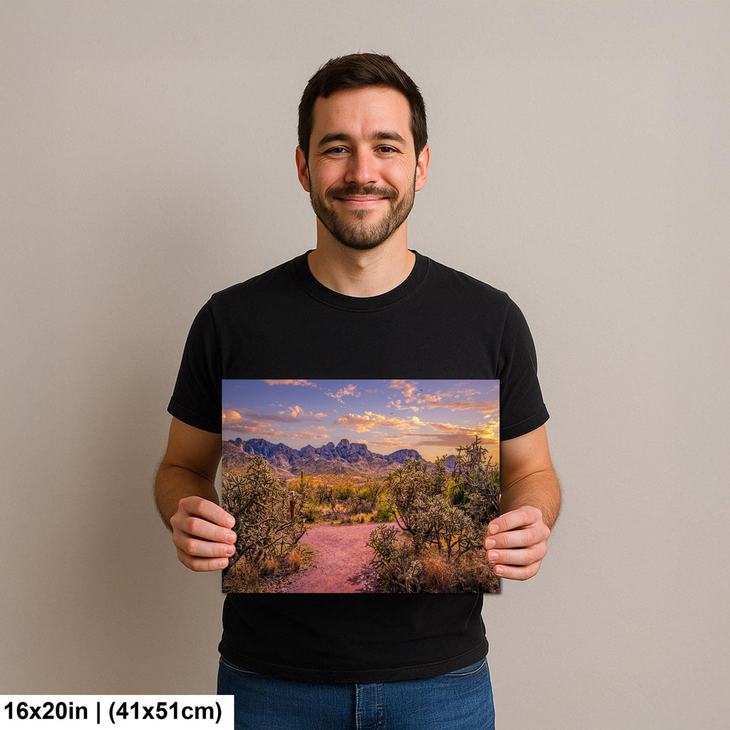 Sonoran Desert Trail Through Cholla Cactus - Tucson Arizona Mountain Sunset Photography Print