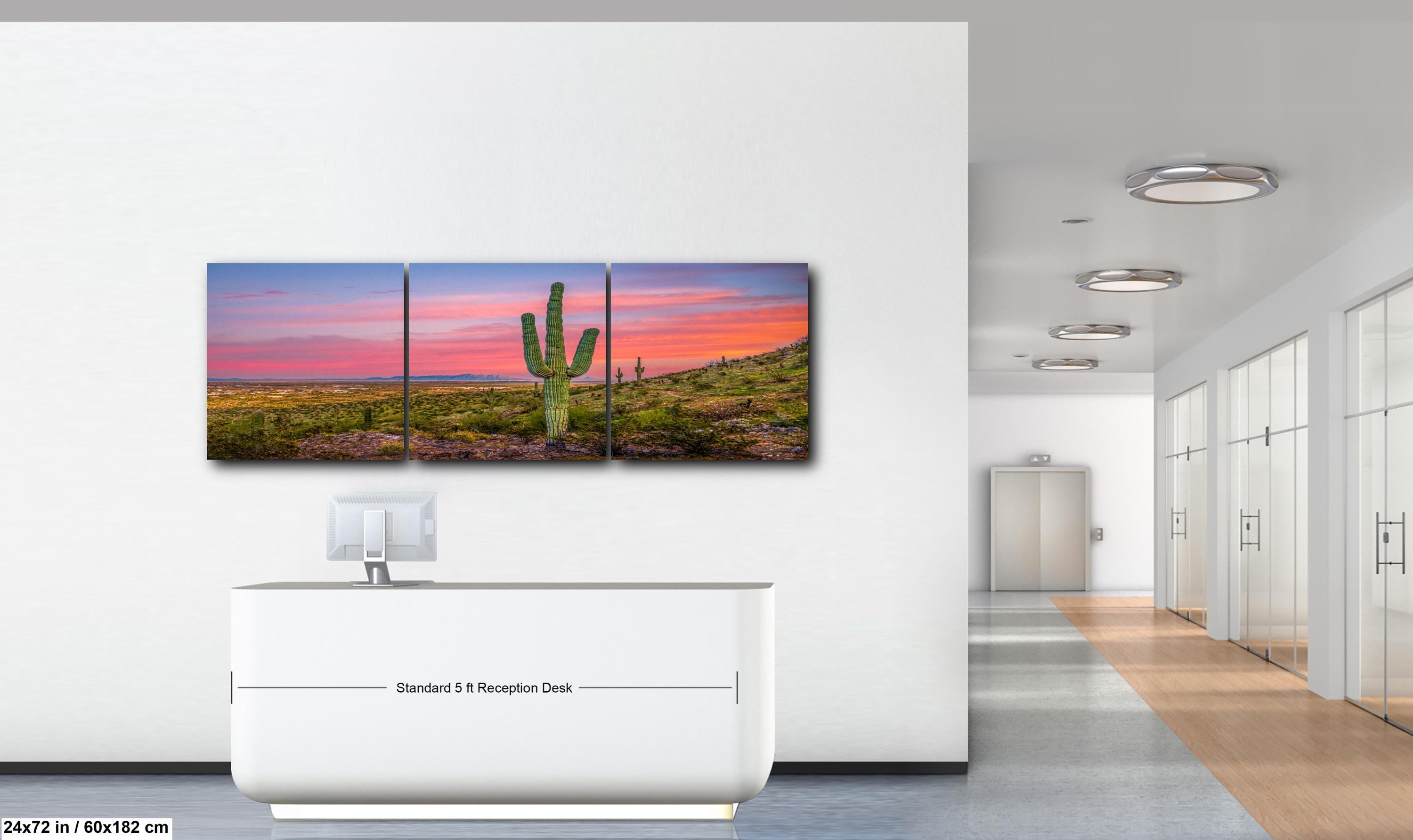 Sonoran Desert Sunset with Saguaros, Casa Grande Arizona, Photography Wall Art