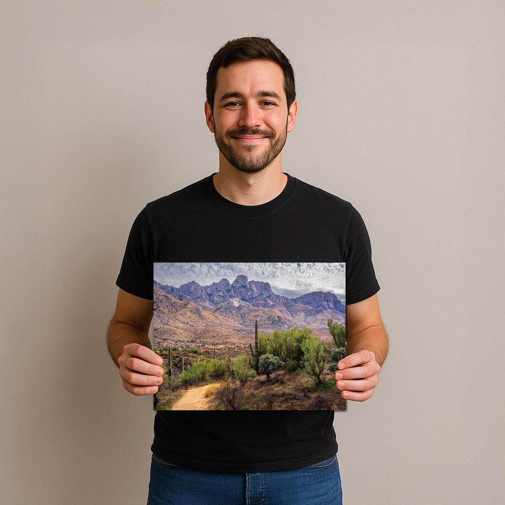 Santa Catalina Majesty, Arizona Mountains Sonoran Desert Photography Wall Art