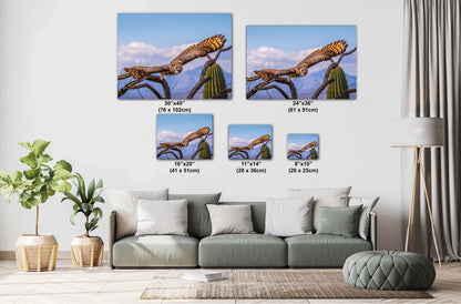 Great Horned Owl Arizona Desert Landscape Saguaro Cactus Wildlife Bird Photography Print Canvas Metal Acrylic Wall Art