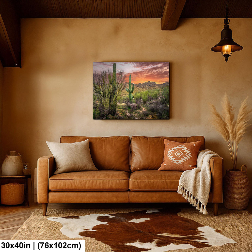 Sonoran Desert Sunset with Saguaros - Catalina State Park Tucson Arizona Photography Print